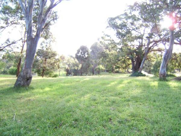 LAKESHORE DRIVE NUNGURNER Picture 1