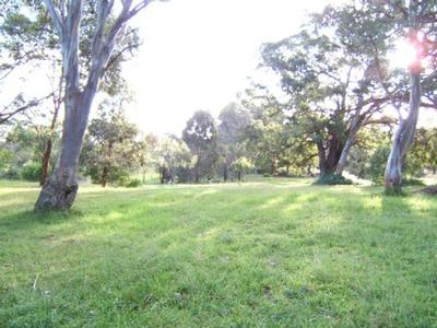 LAKESHORE DRIVE NUNGURNER Picture
