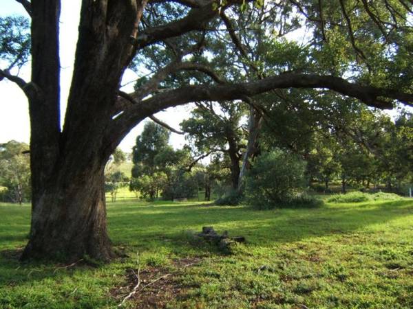 LAKESHORE DRIVE NUNGURNER Picture 3