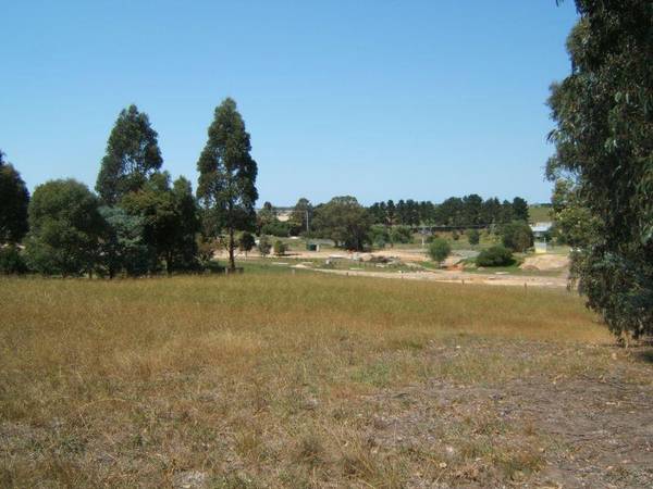 LAND AHOY! Picture 1