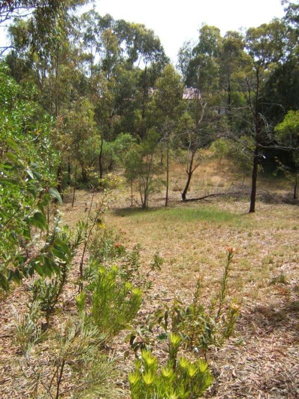 LARGE BLOCK - CENTRAL LOCATION Picture 3