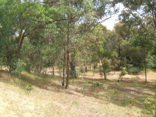 LARGE BLOCK - CENTRAL LOCATION Picture 1