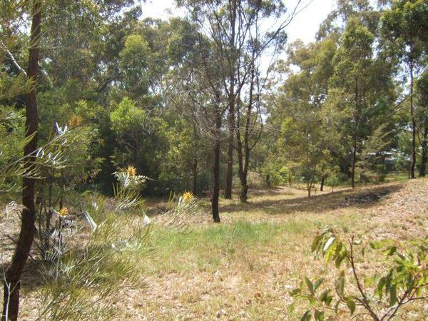 LARGE BLOCK - CENTRAL LOCATION Picture 2