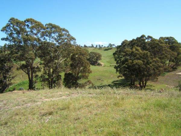 LEIGHTON BAY VIEWS Picture 1