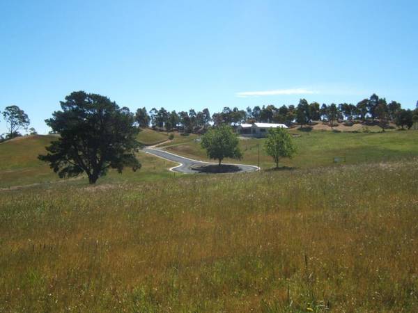 METUNG LIFESTYLE LAND Picture 2