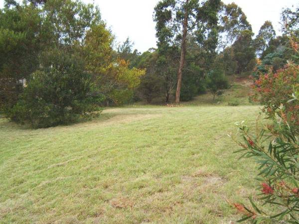 NATIVE HAVEN Picture 2