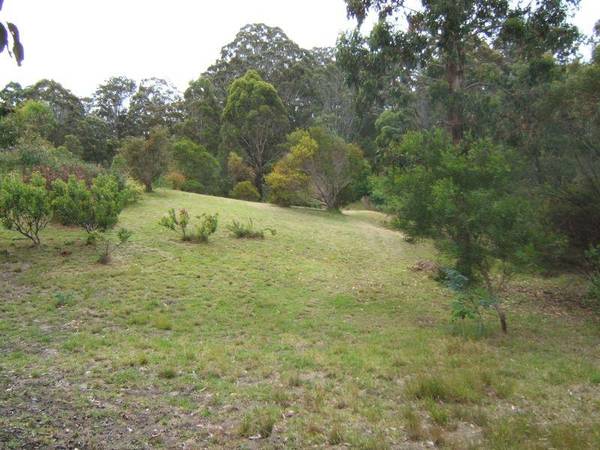 NATIVE HAVEN Picture 3