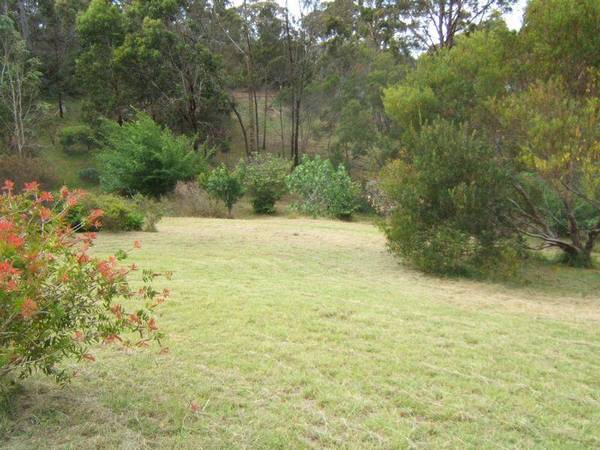 NATIVE HAVEN Picture 1