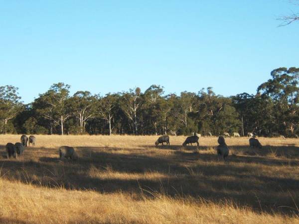 NICHOLSON FARMLET Picture 1