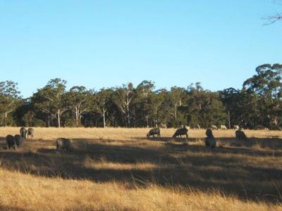 NICHOLSON FARMLET Picture