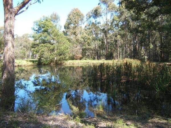 OUTSTANDING LIFESTYLE PROPERTY Picture 3