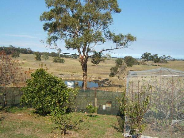 SELF SUFFICIENT FARMLET Picture 2