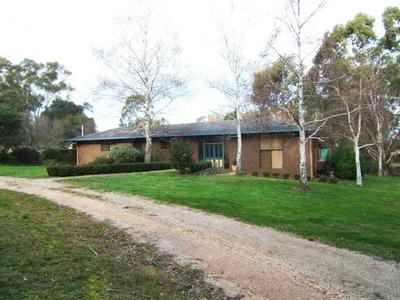 SUMMER IS HERE Picture