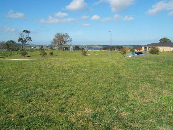 Swan Reach Dreaming Picture 2