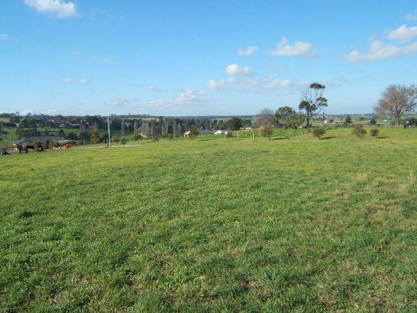 Swan Reach Dreaming Picture 3