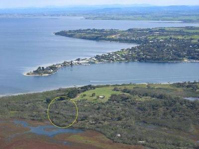 TAKE A WALK ON THE WILD SIDE Picture