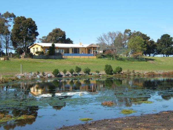 TAMBO EDGE Picture 1