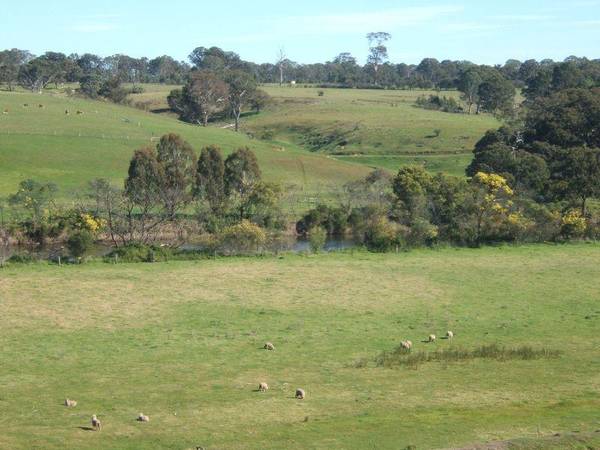 TAMBO RIVER FRONT 4.5 HA OR 11 ACRES Picture 3