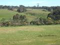 TAMBO RIVER FRONT 4.5 HA OR 11 ACRES Picture