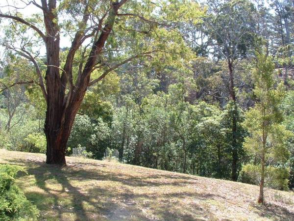 TAMINICK COTTAGE AT METUNG Picture 2