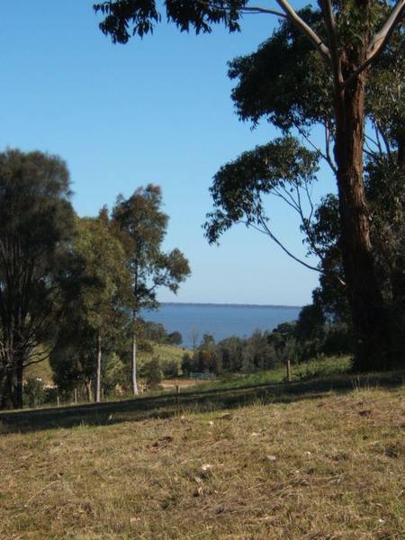 THE BILLABONG Picture 3