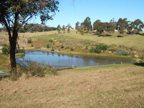 THE BILLABONG Picture 1