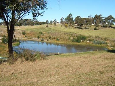 THE BILLABONG Picture