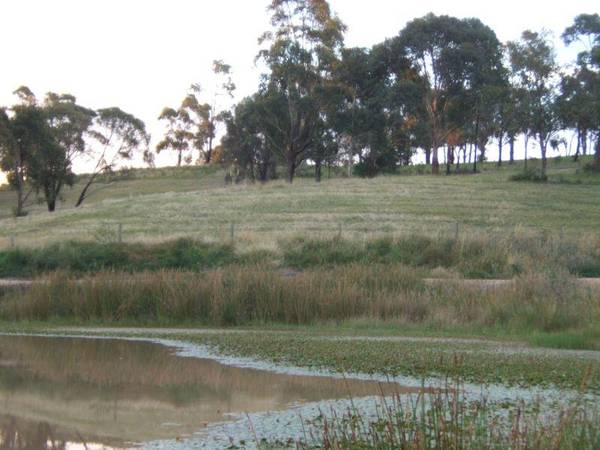 THE BILLABONG Picture 2