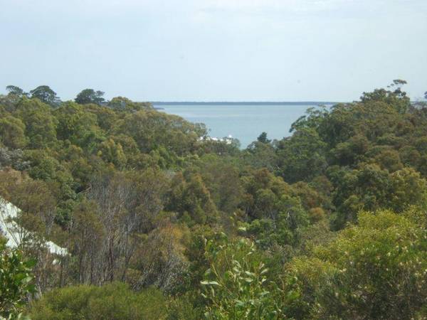 THE HIGH LIFE Picture 3