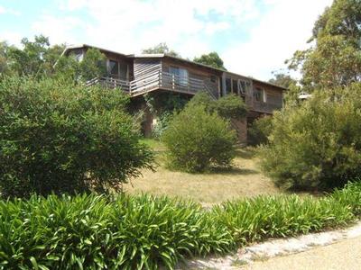 THE HIGH LIFE Picture