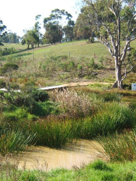 THE SANCTUARY Picture 1