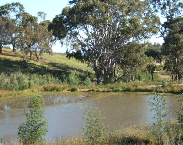 THE SANCTUARY Picture 3