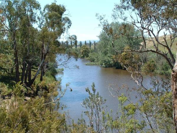 THE TAMBO CLIFFS Picture 2