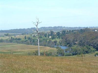 THE TAMBO CLIFFS Picture