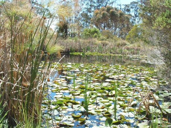 VENDORS WILL CONSIDER ALL OFFERS Picture 2