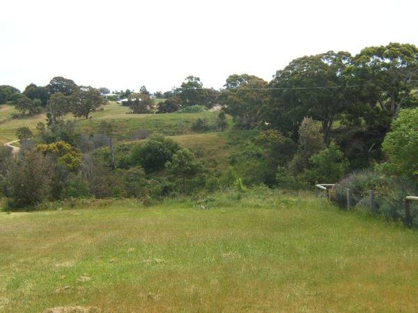 WALK TO THE WATER Picture 1