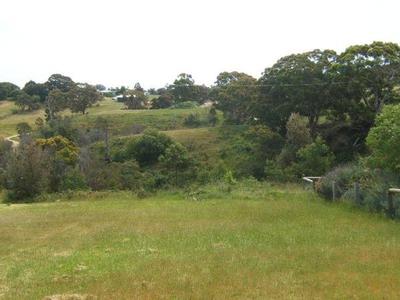 WALK TO THE WATER Picture