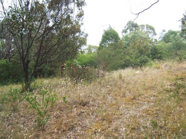 WALK TO THE YACHT CLUB Picture 3