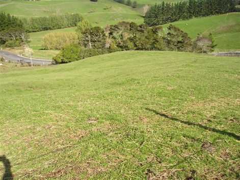 Private Sale - Be Self Sufficient! Picture 3