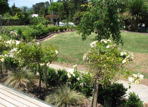 Private Sale - Oratia, Waitakere Home & Income! Picture 3