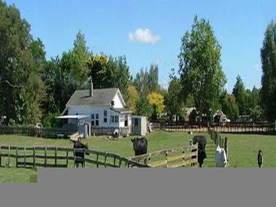 Private Sale - Waikato Lifestyle Block Picture