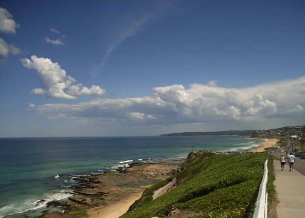 ONCE IN A LIFETIME! Picture 2