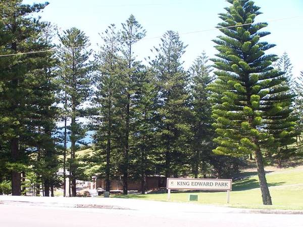 On Top of the Town Picture 2