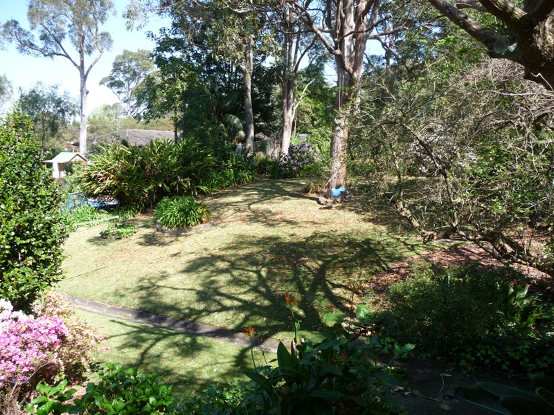 BLUE RIBBON LOCATION Picture 2