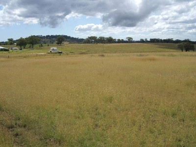 THE BARGAIN YOU HAVE BEEN WAITING FOR. Picture