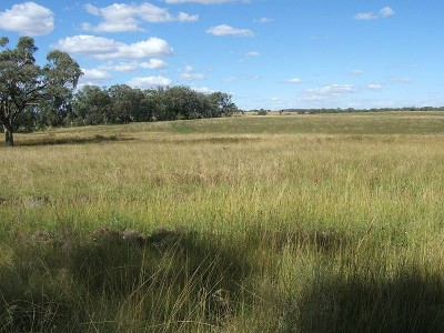 50 ACRES WITH THE WORKS Picture