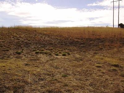 VIEWS OVER TOWN! Picture