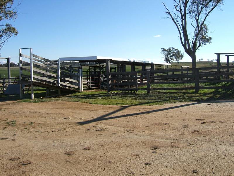 GREAT SIZE AND GREAT PRICE Picture 3