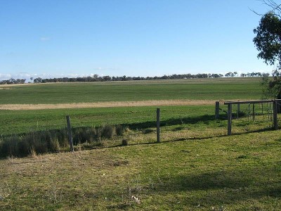 GREAT SIZE AND GREAT PRICE Picture