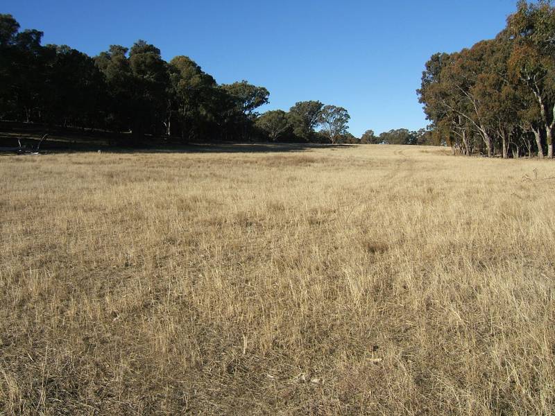 PRODUCTIVE EASTERN GRAZING COUNTRY Picture 2
